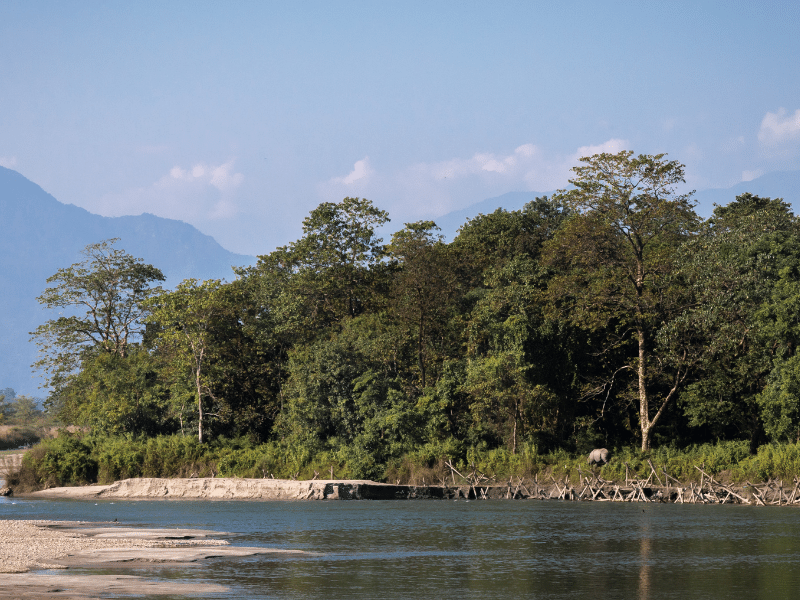 Manas_National_Park-trip2flight.png