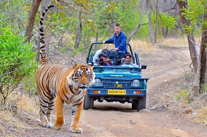 Wildlife & Nature Tours